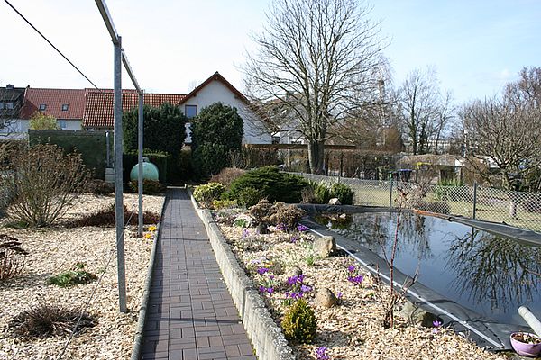 Garten mit Teich